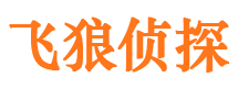 历城侦探公司